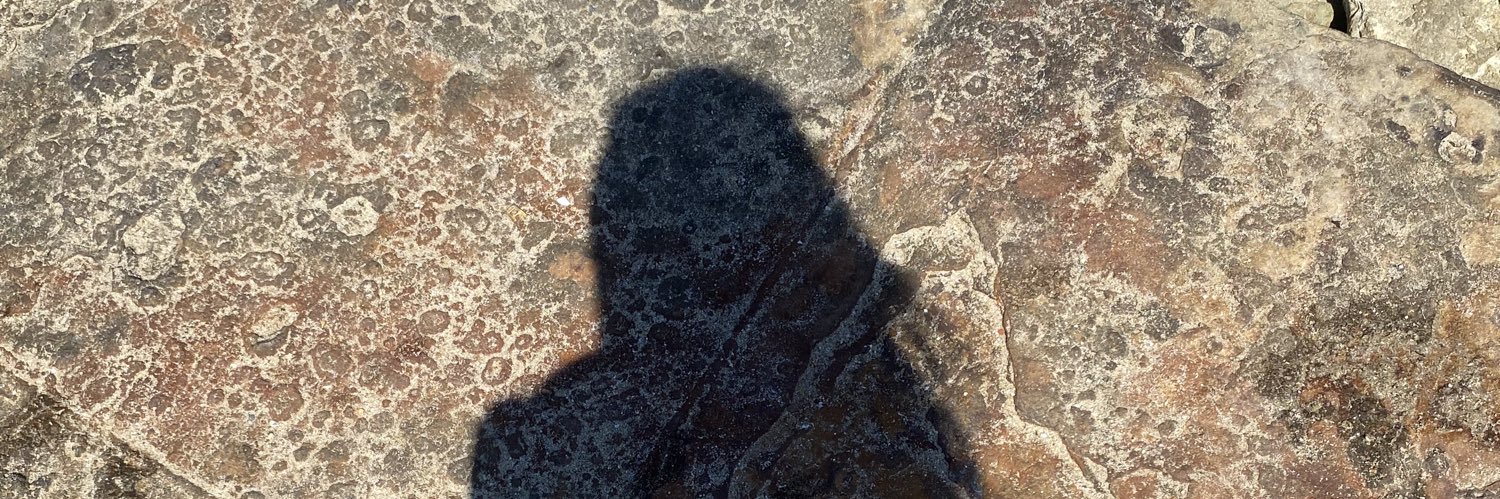 aysekrdmn14's profile banner image