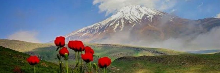 darya68's banner