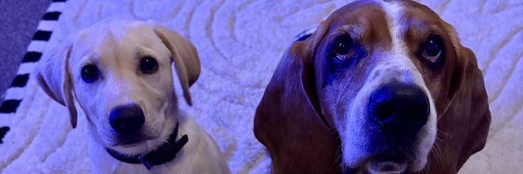 Shanzy333's profile banner image