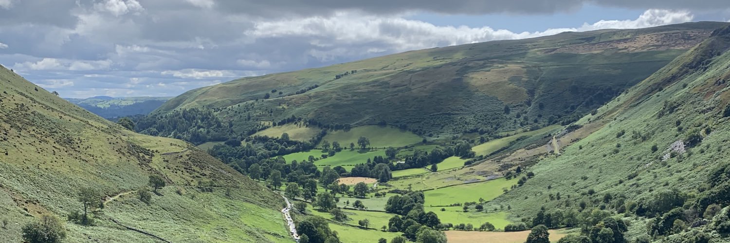AliceTrigg's profile banner image