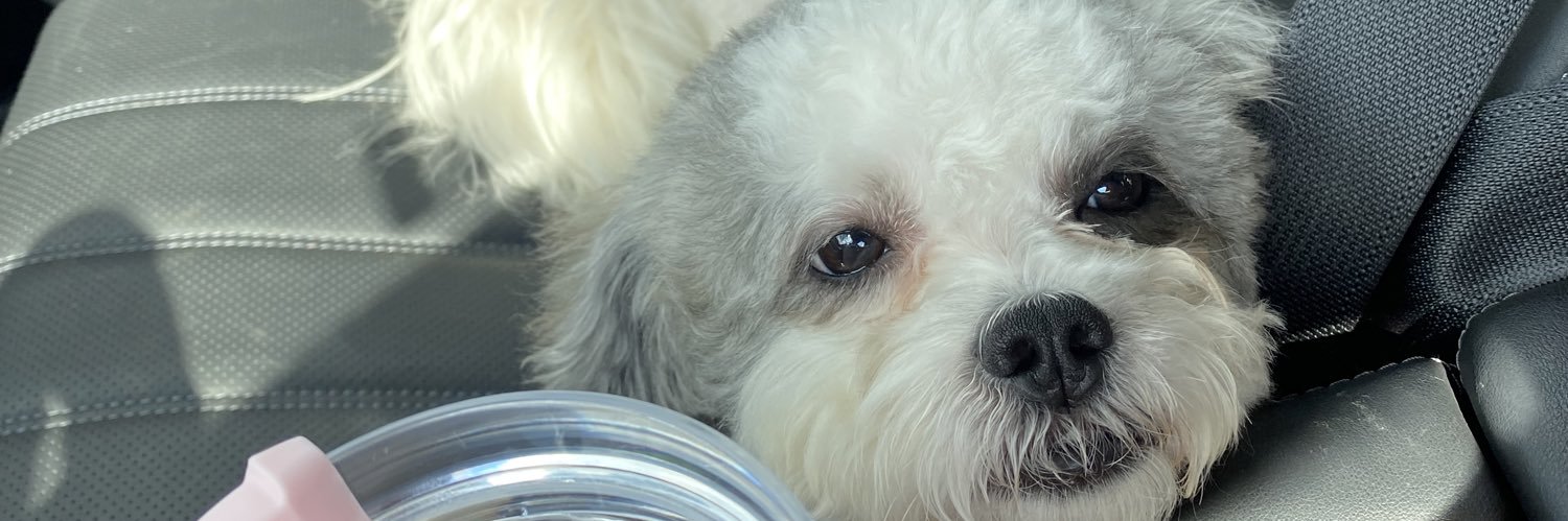 lilmo_03's profile banner image