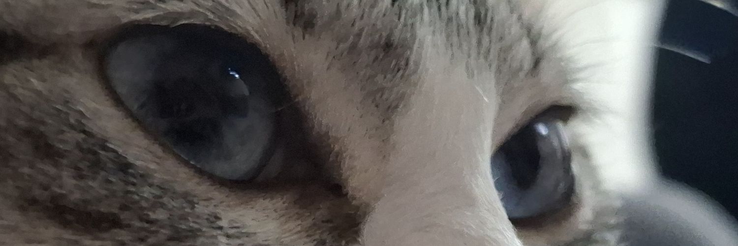 giiudpl_'s profile banner image