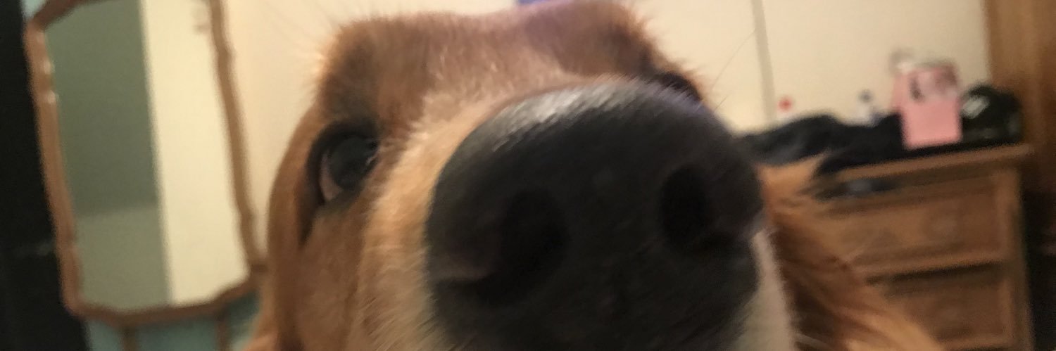 Yoyo2408's profile banner image