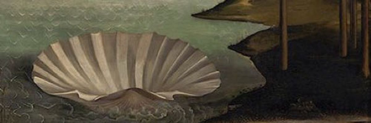 codedbyvenus banner