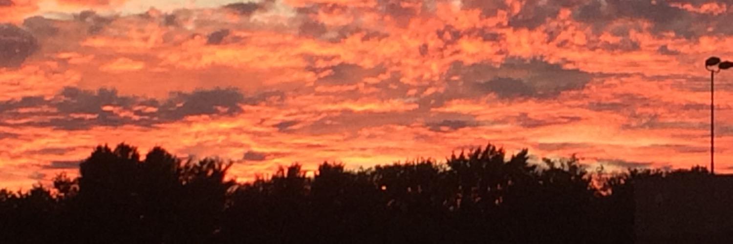 time4lib2fly's profile banner image