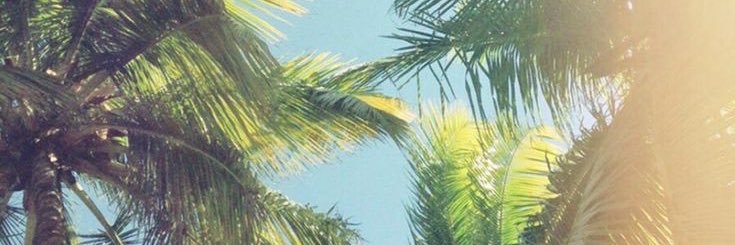 Emburger9's profile banner image