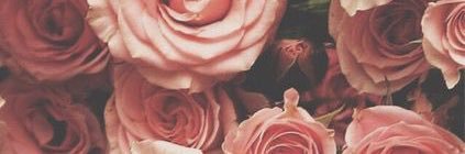 xoxosini's profile banner image