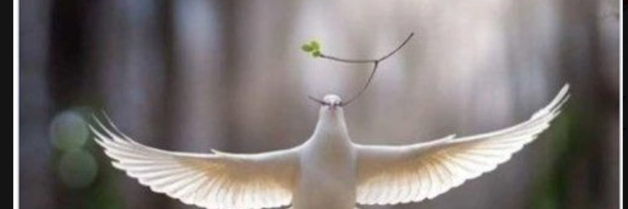 Yasemin 🕊️ banner