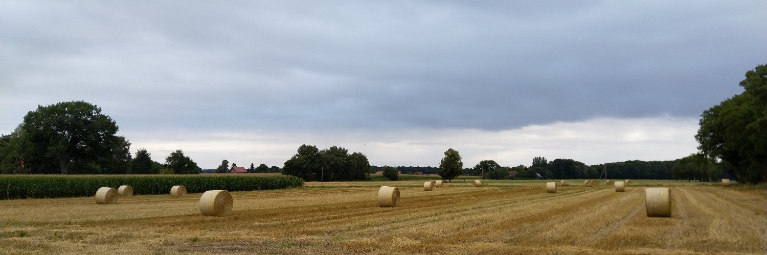 social.targaryen.house/@doncish banner