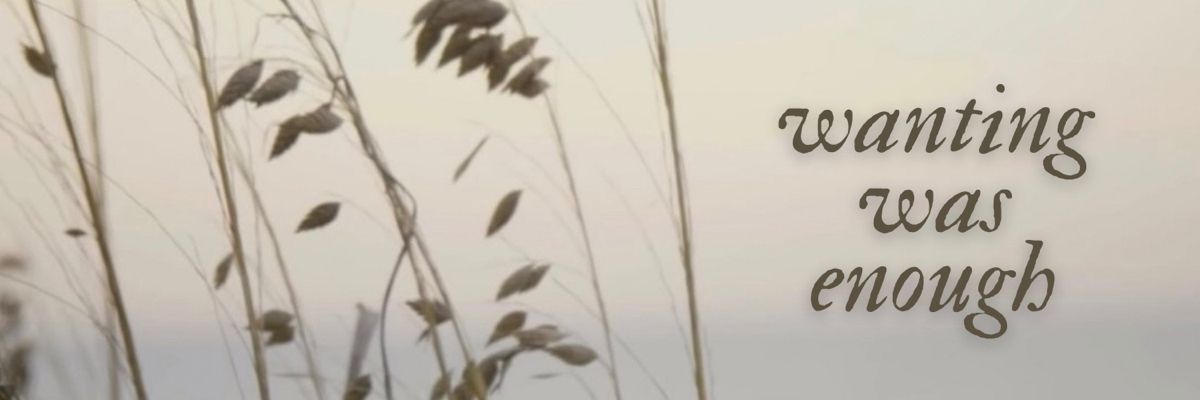 saii's banner