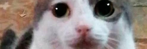 Filemoncio Hugolini banner