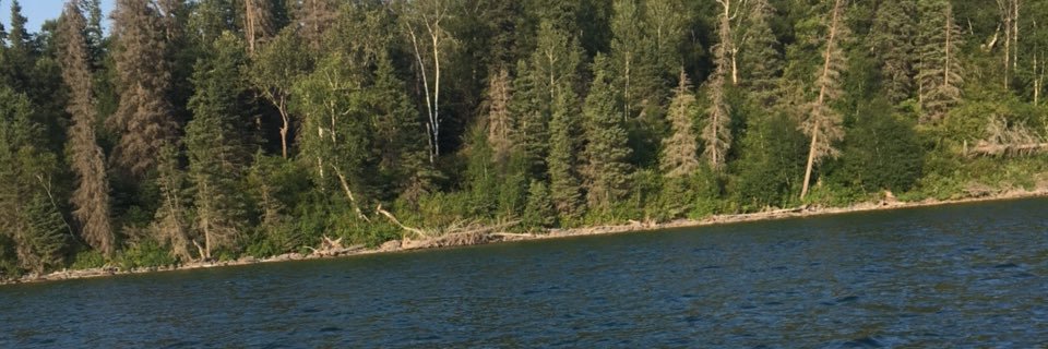 Josh Tripp banner