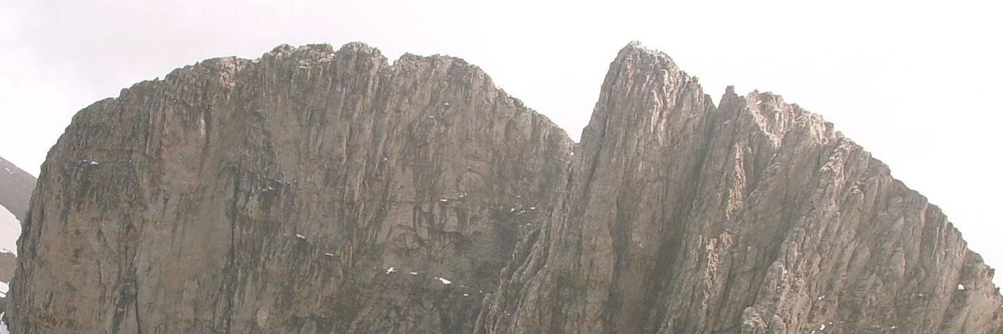 Vincent C. Müller banner