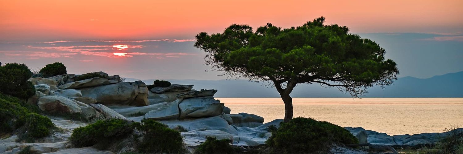 ΣτέλλαΤριανταφυλλίδου banner