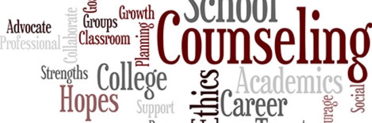 CFHS Counseling Dept banner