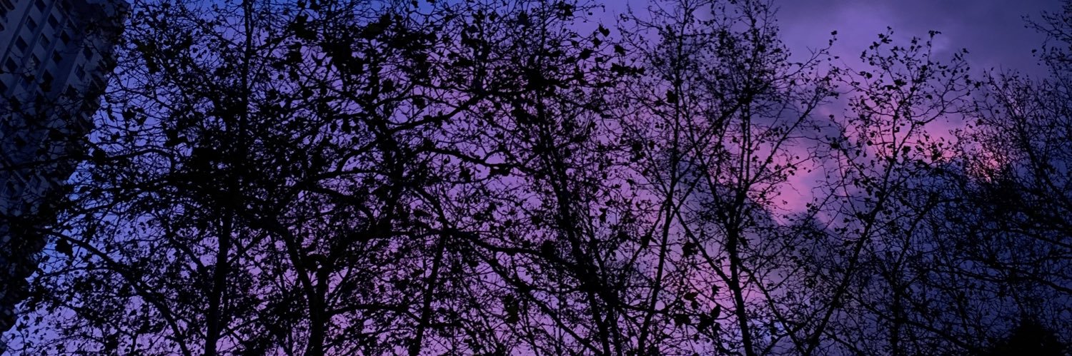 xarodart's profile banner image