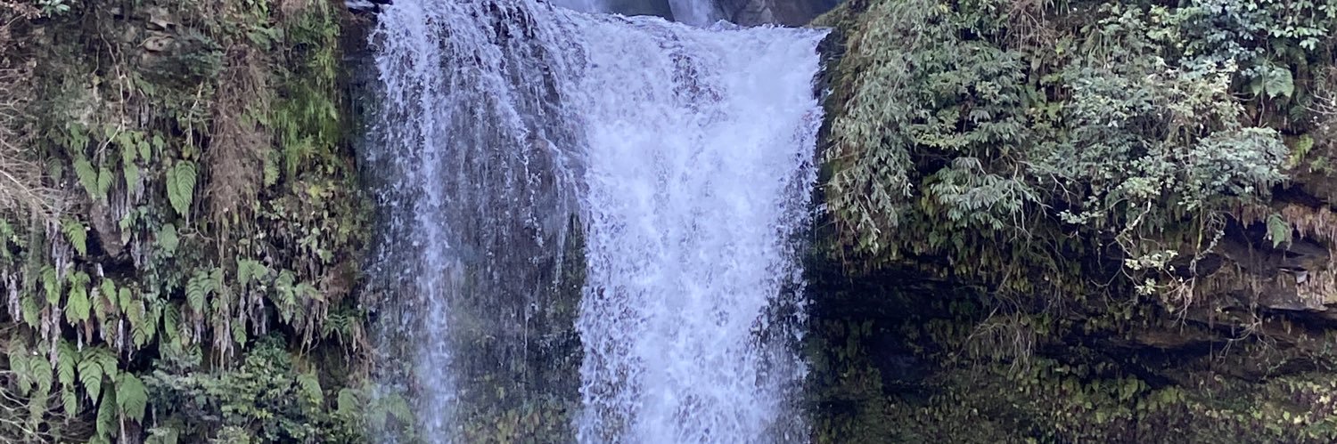 おばあちゃん👱‍♀️ banner