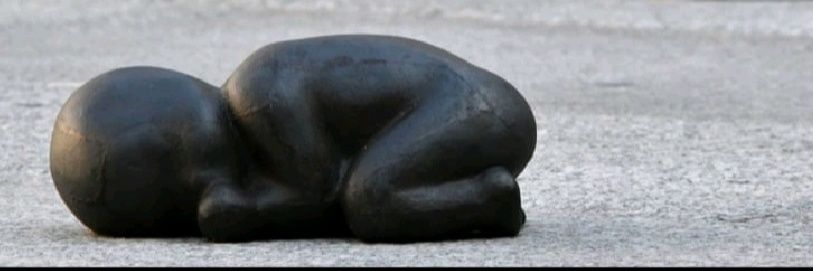 Virginia Magnaghi banner