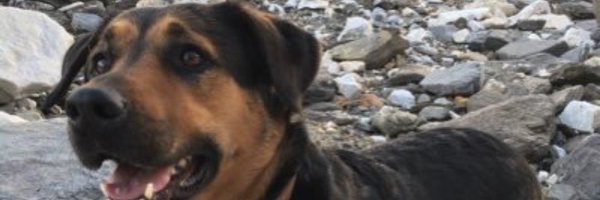 isabelisa010 Profile Banner