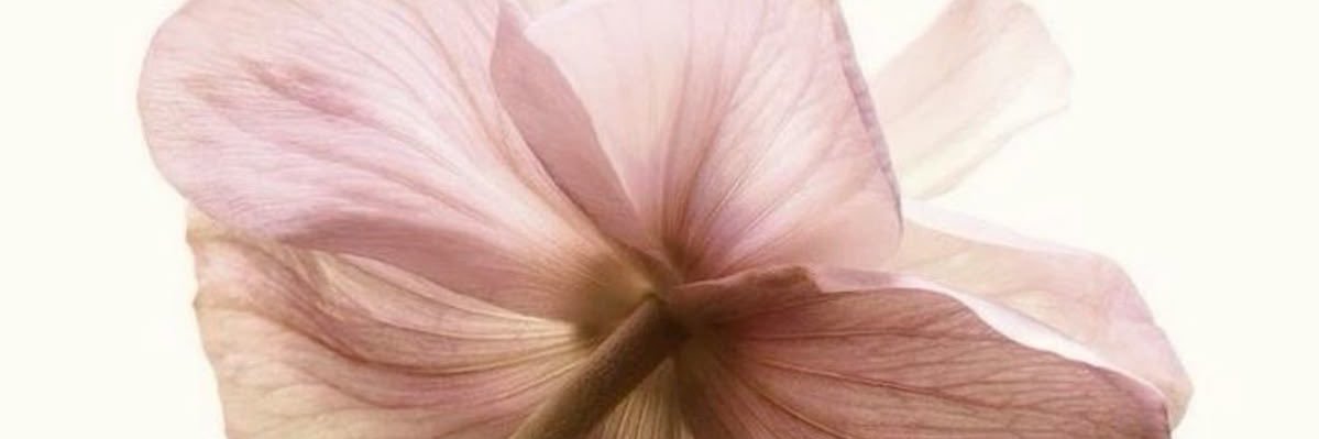 arbieenn's profile banner image