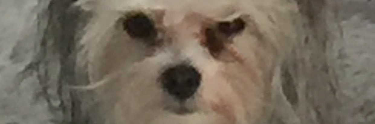 Smiley3's profile banner image