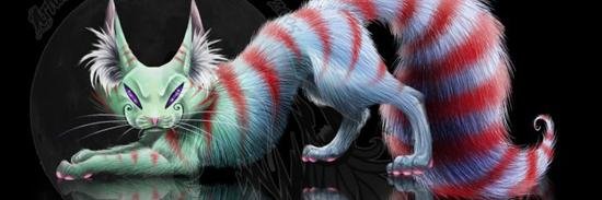 Jax banner