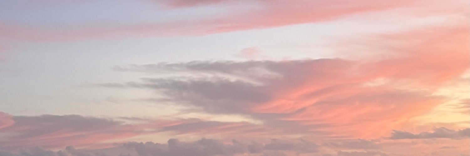 lulit____'s profile banner image