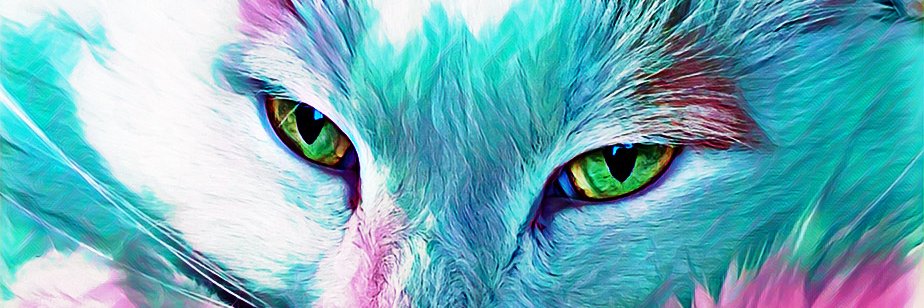 nikihale00's profile banner image