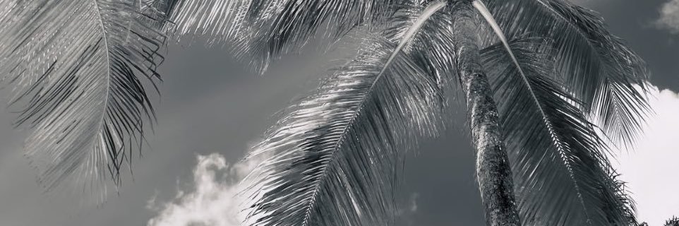 luulux1's profile banner image