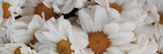 pris14___'s profile banner image