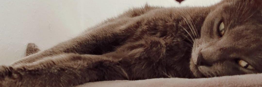 PowRTochH_'s profile banner image