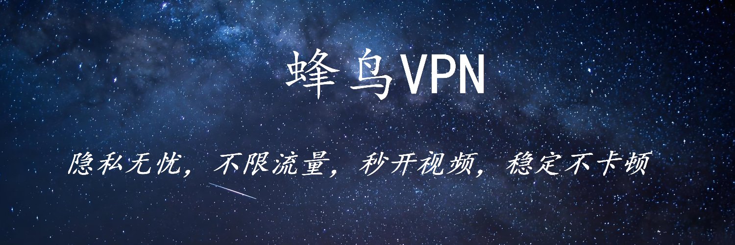 蜂鸟VPN加速器 banner