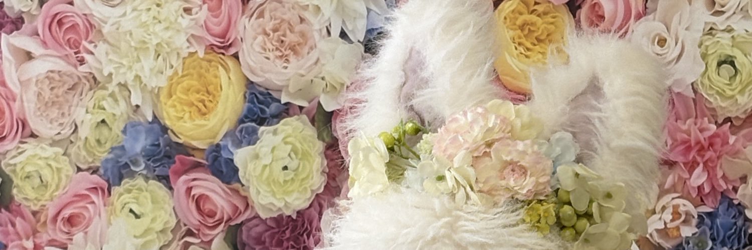 mai☺︎🌼 banner