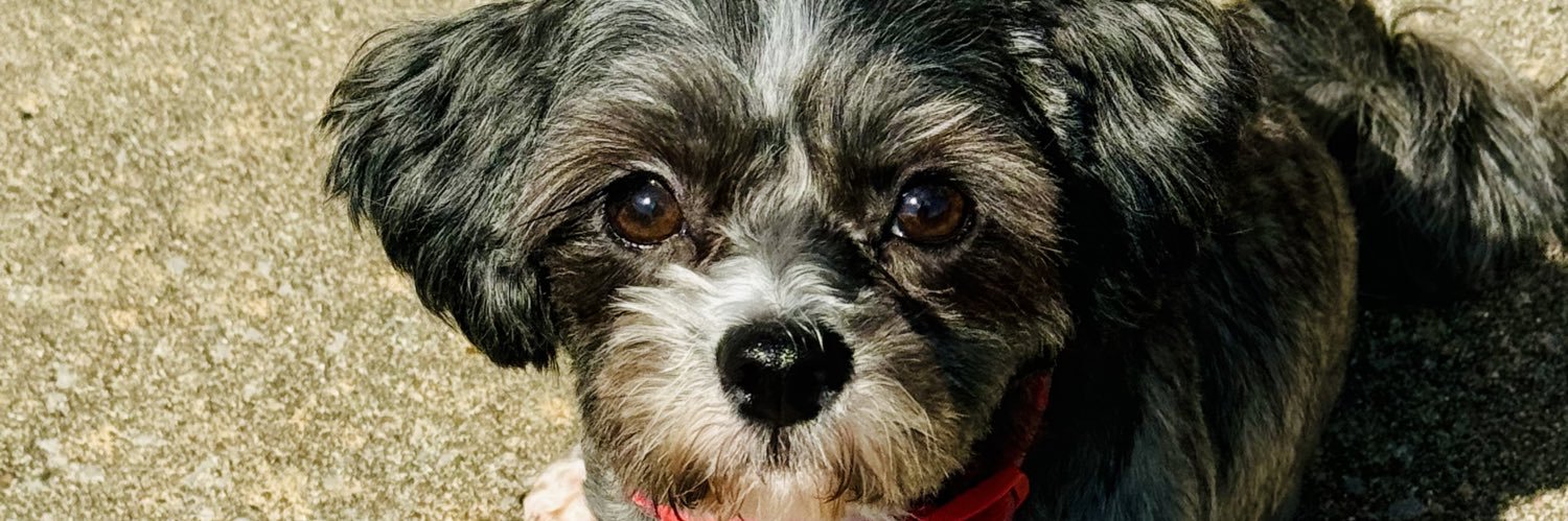 KeepCalmItsKimi's profile banner image