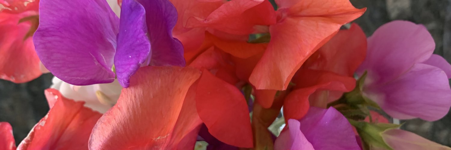 pmiah's profile banner image