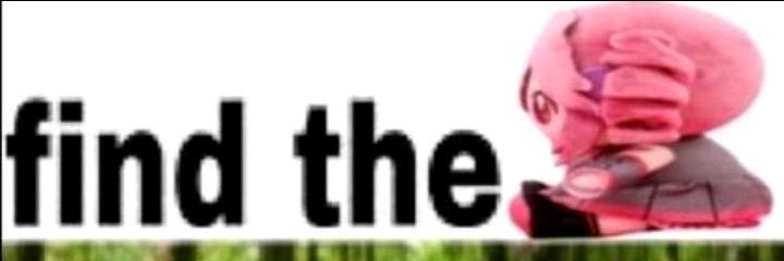NMassko's profile banner image