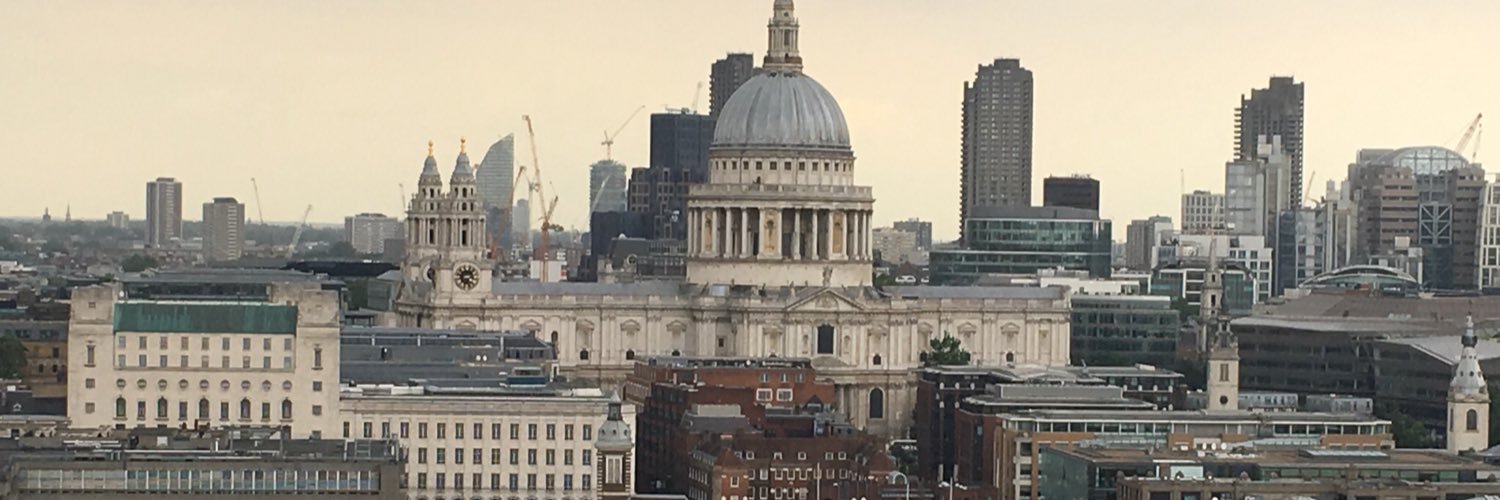 sally halpin 💙 banner