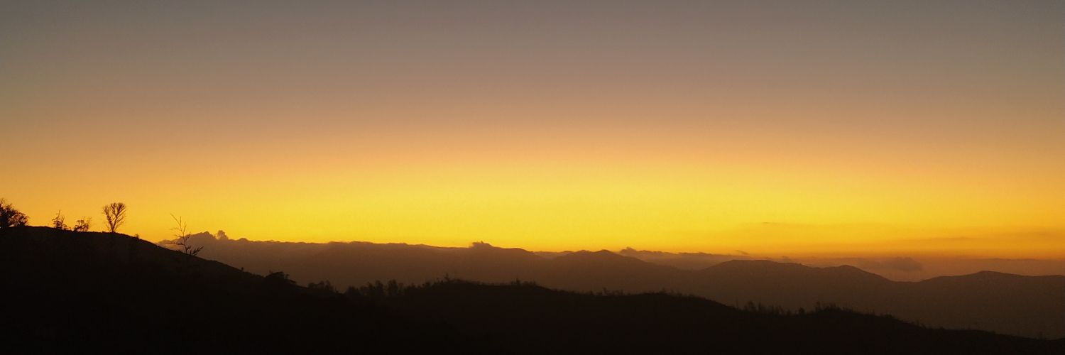 disinego's profile banner image