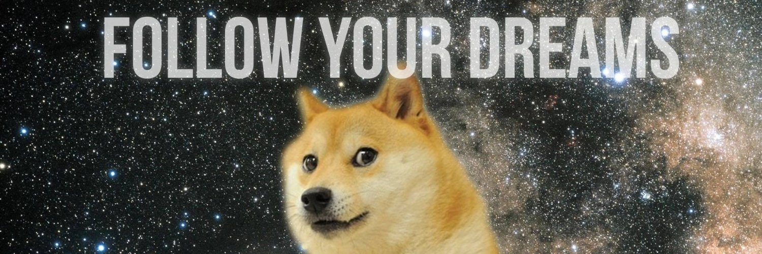 gabi_sauer's profile banner image