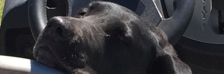 Mike Kettelhut banner