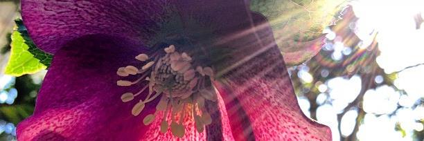 clwhite1111's profile banner image