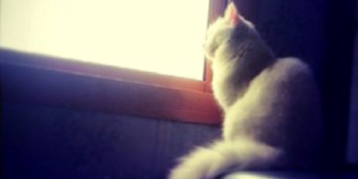 82Sara_khalid's profile banner image
