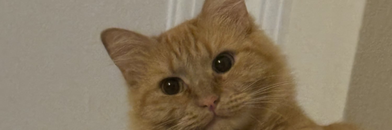 sevvalhrz's profile banner image