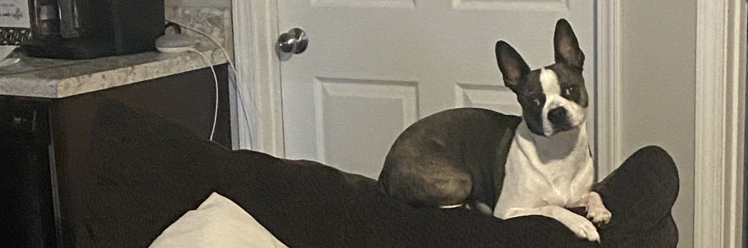 LexieLynn41's profile banner image