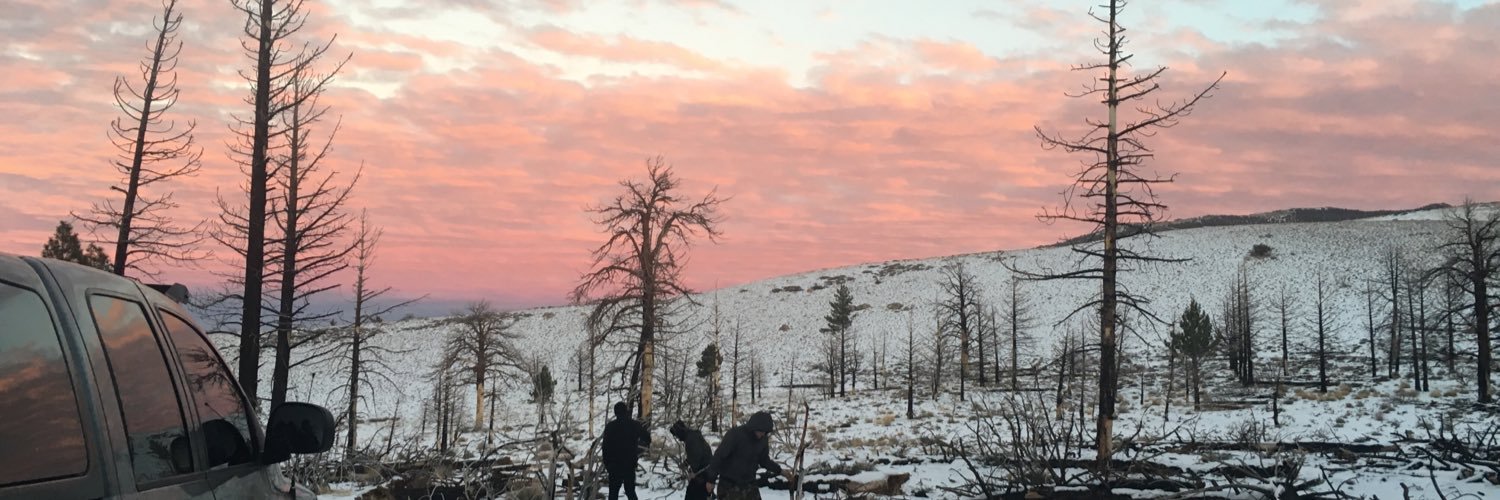 trevorwise10's profile banner image