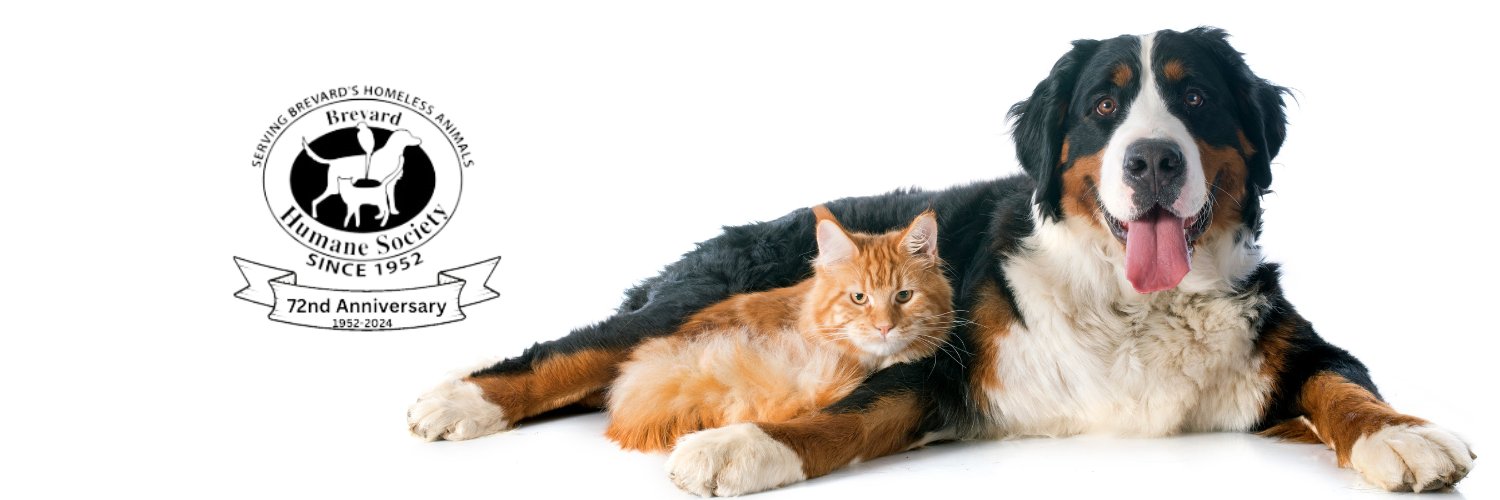 Brevard_humane's profile banner image