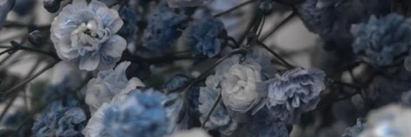 BSanity0022 Profile Banner