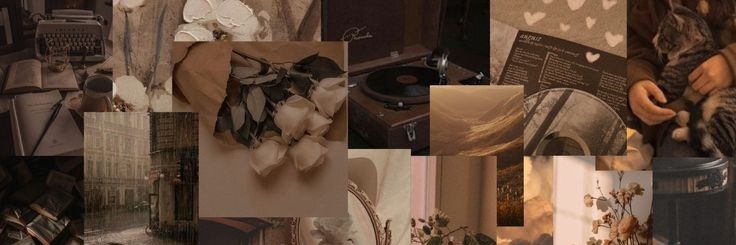 aluna⋆ banner