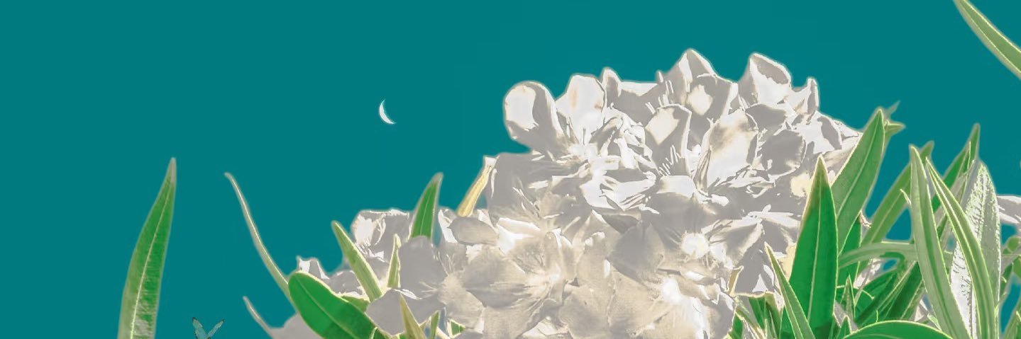 BRD_power's profile banner image