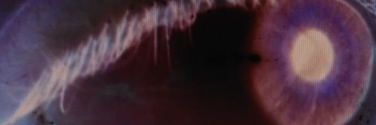 elunaria banner